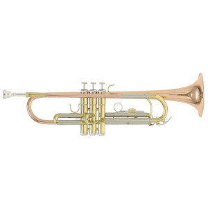 ROY BENSON TR 202G Trumpet 